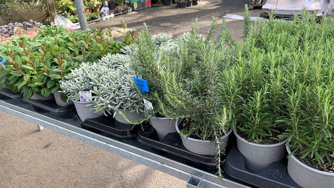 2nd March 2026: What's New This Week