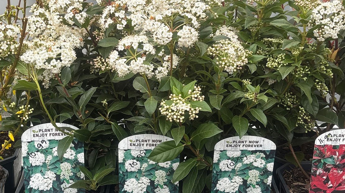 5TH MARCH 2026: WHAT'S NEW THIS WEEK