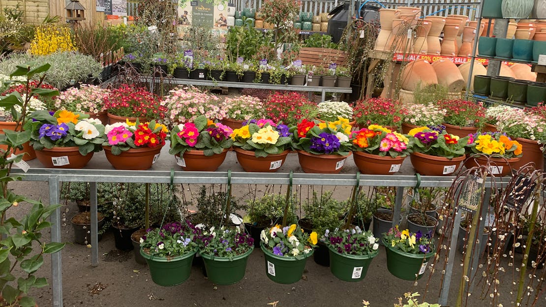 16TH MARCH 2026: WHAT'S NEW THIS WEEK