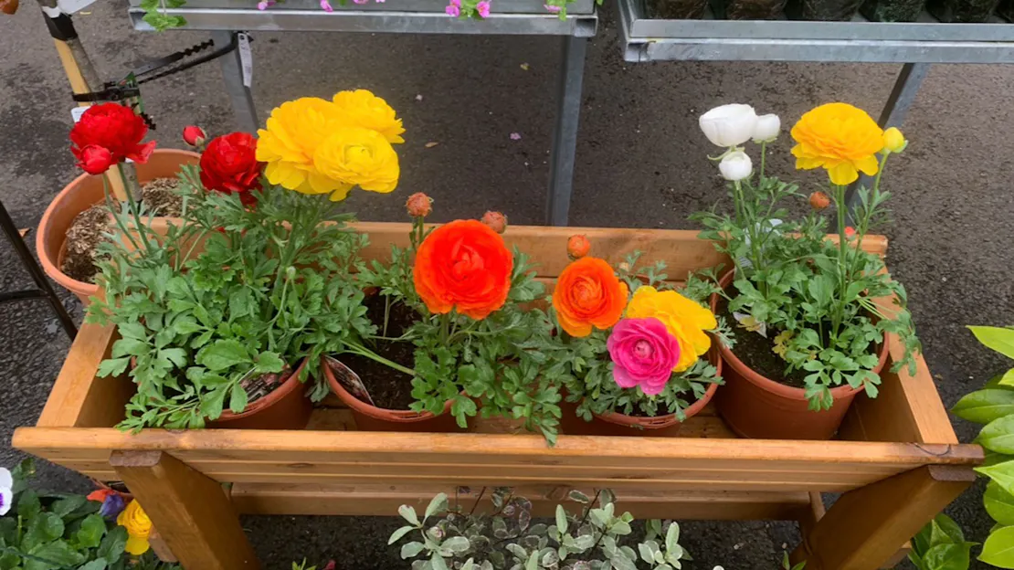 30TH MARCH 2026: WHAT'S NEW THIS WEEK