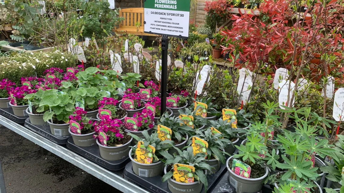 6TH APRIL 2026: WHAT'S NEW THIS WEEK