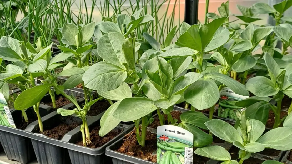 13TH APRIL 2026: WHAT'S NEW THIS WEEK