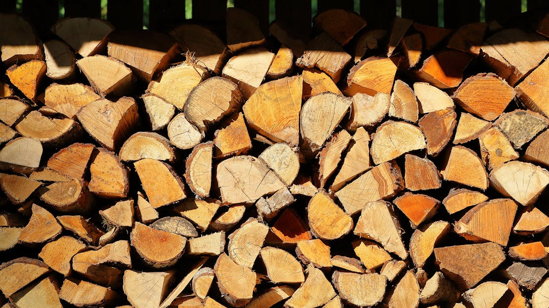 Hornbeam Firewood - Is It Right For You?