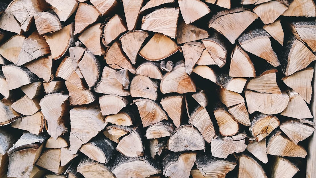 Alder Firewood - All You Need To Know