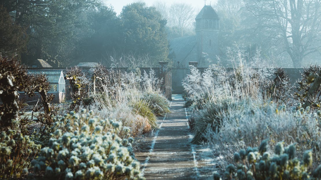 Garden Diary - December