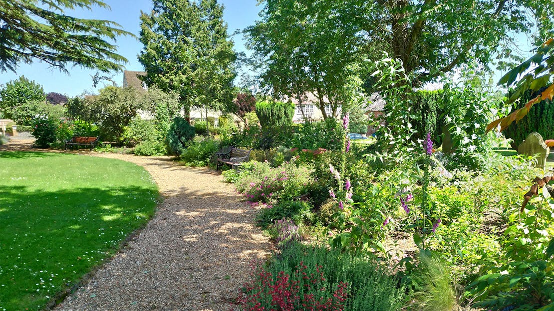 Garden Diary - August