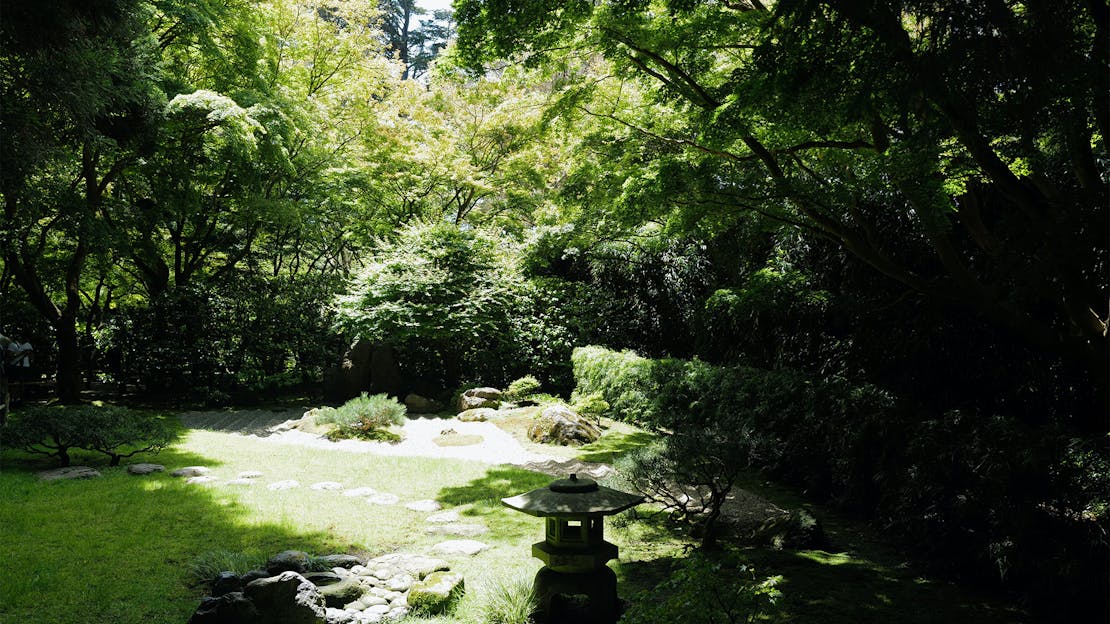 How To Create A Low Maintenance Garden