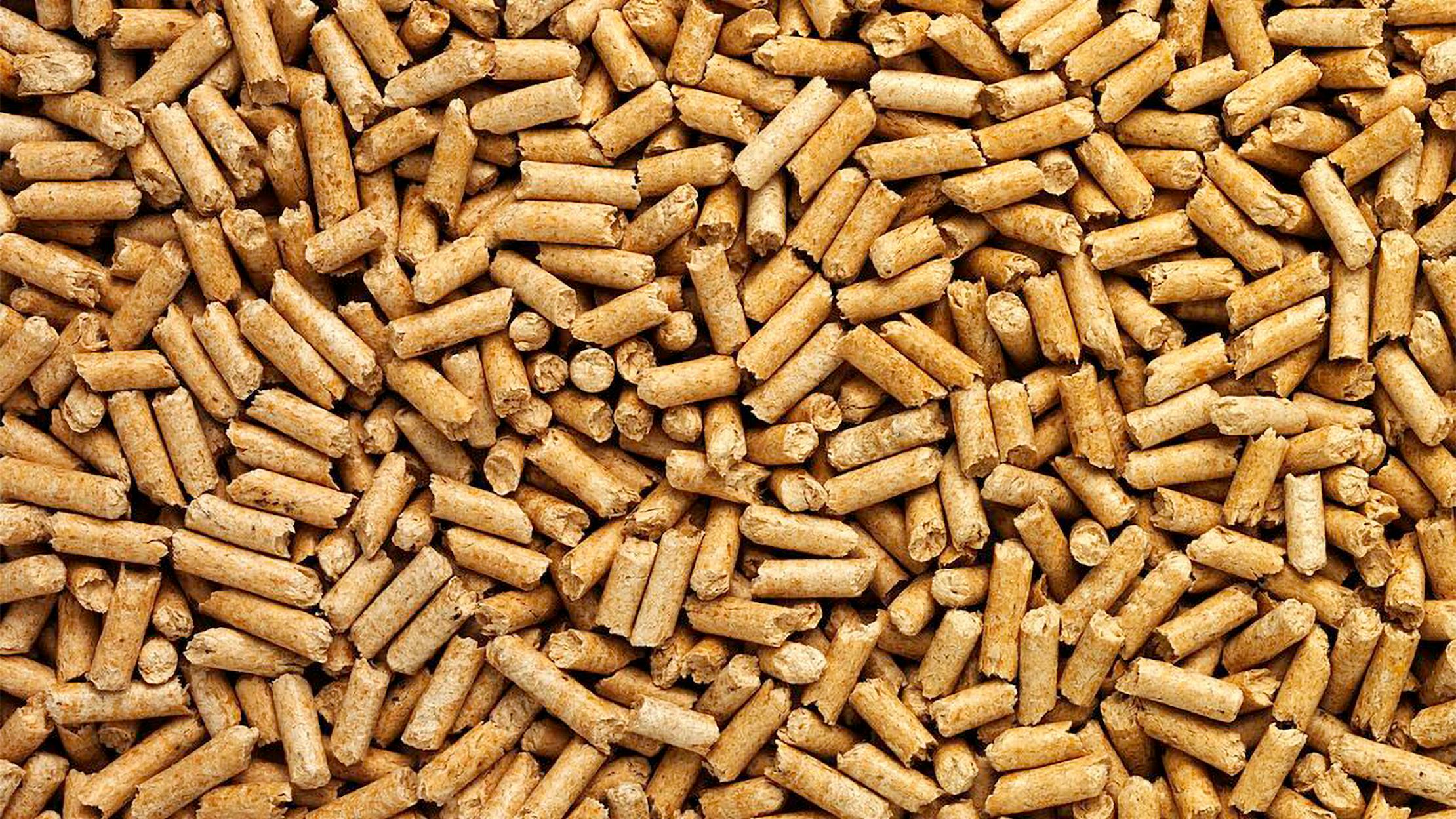 Wood Pellets Back In Stock! | Fitzpatrick Fuels