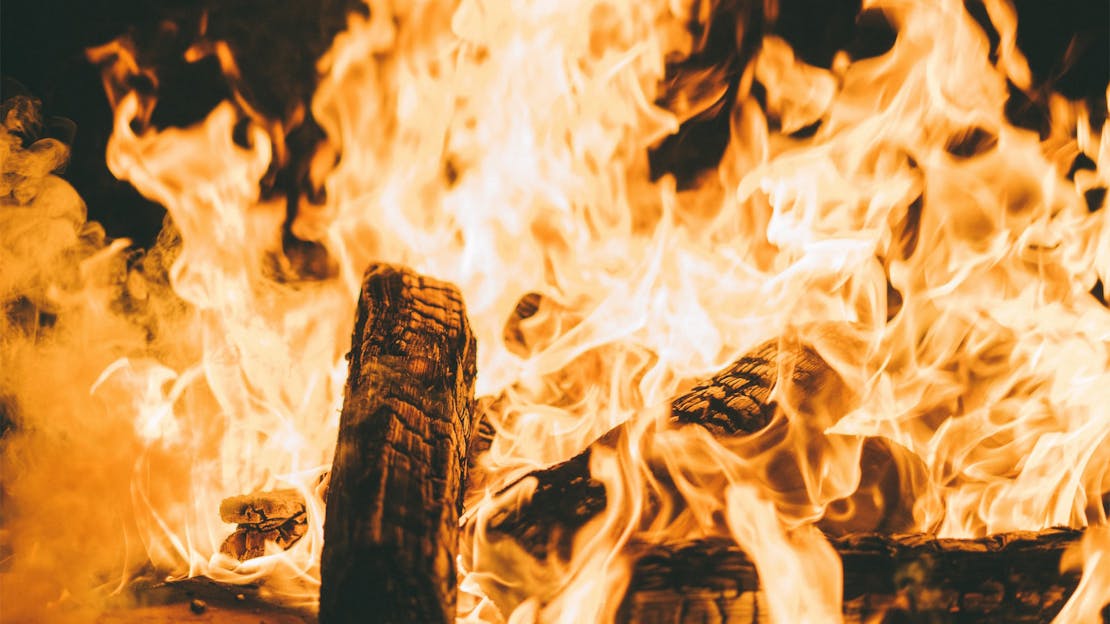 Kiln Dried Hardwood Logs Benefits