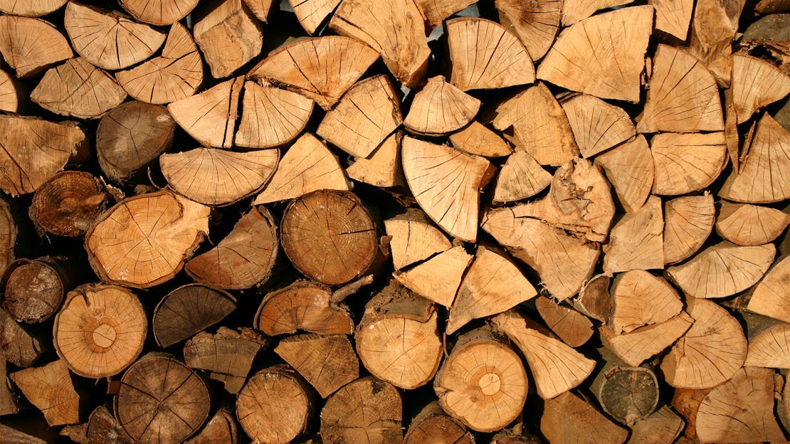 Harnessing the Heat: The Advantages of Kiln-Dried Hardwood Logs for Heating