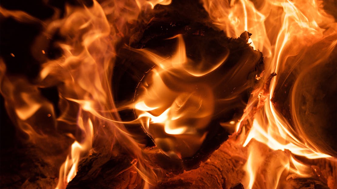 Unveiling the Heat: Understanding the Difference Between Kiln Dried Hardwood Logs and Other Firewood for Home Heating