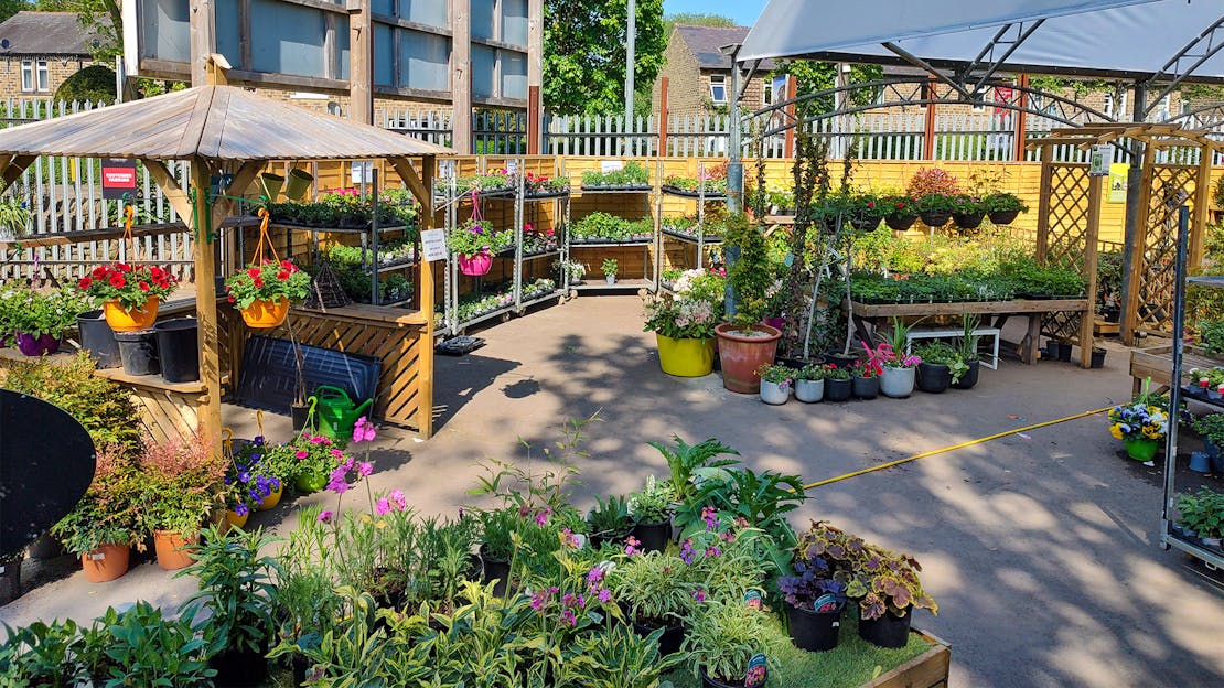 Spring Refresh At Honley