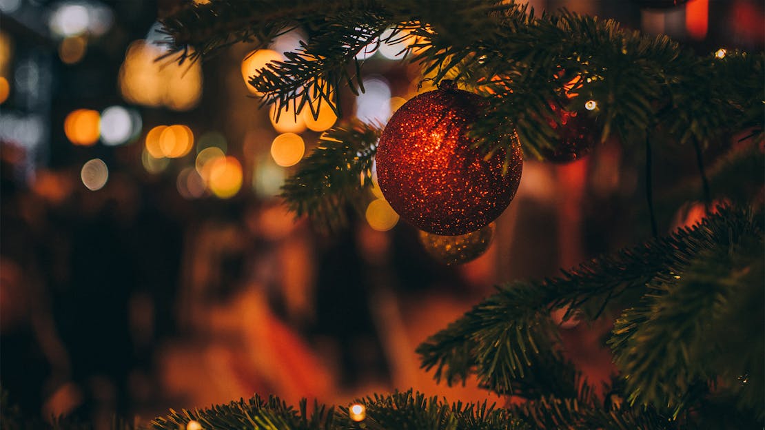 Premium Nordmann Fir Christmas Trees!