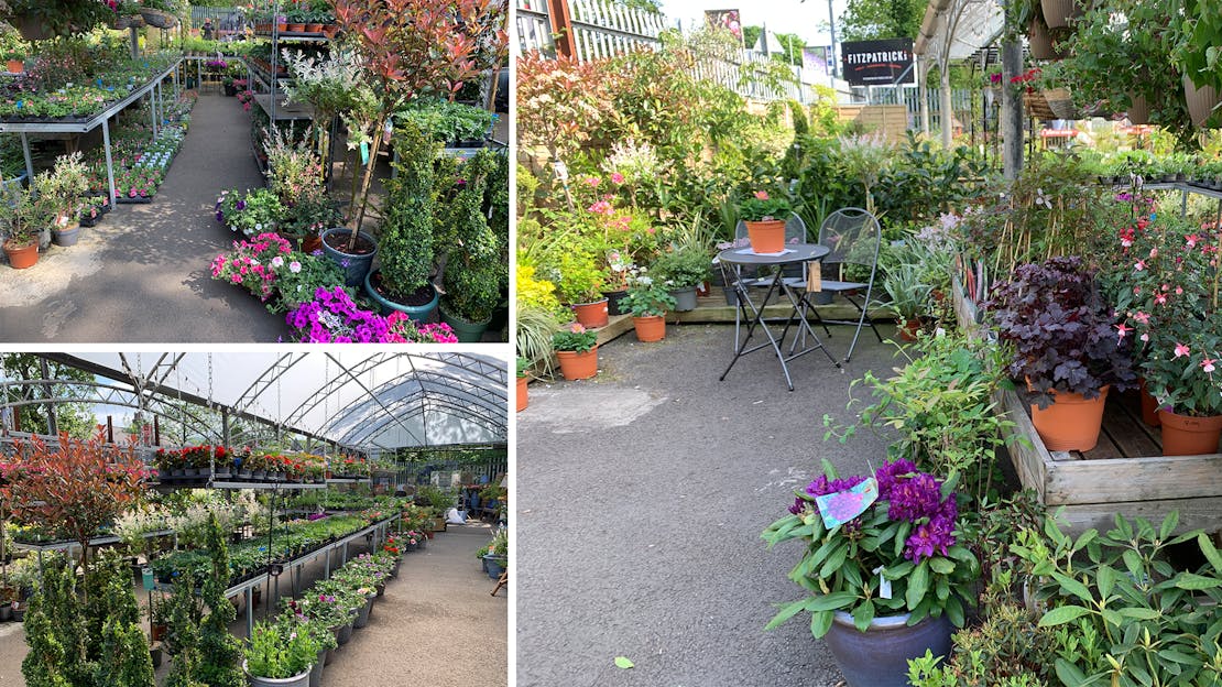 Have You Visited Our Garden Centre in Honley Yet?