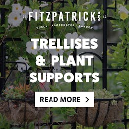 Trellises & Plant Supports Available Here!