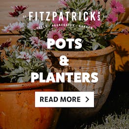 Pots & Planters Available Here!