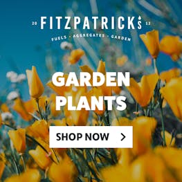 Garden Plants Available Here!