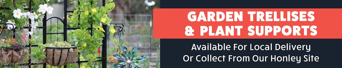 View our full range of trellises & plant supports below!