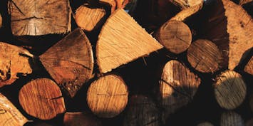 Which Type of Firewood Burns Best?