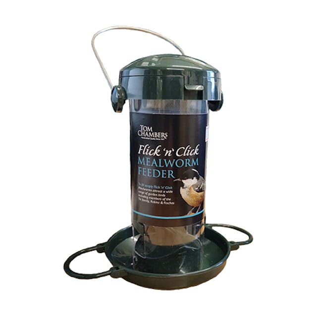 Bird Mealworm Feeder