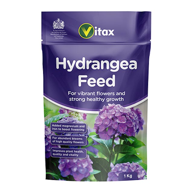 Hydrangea Feed