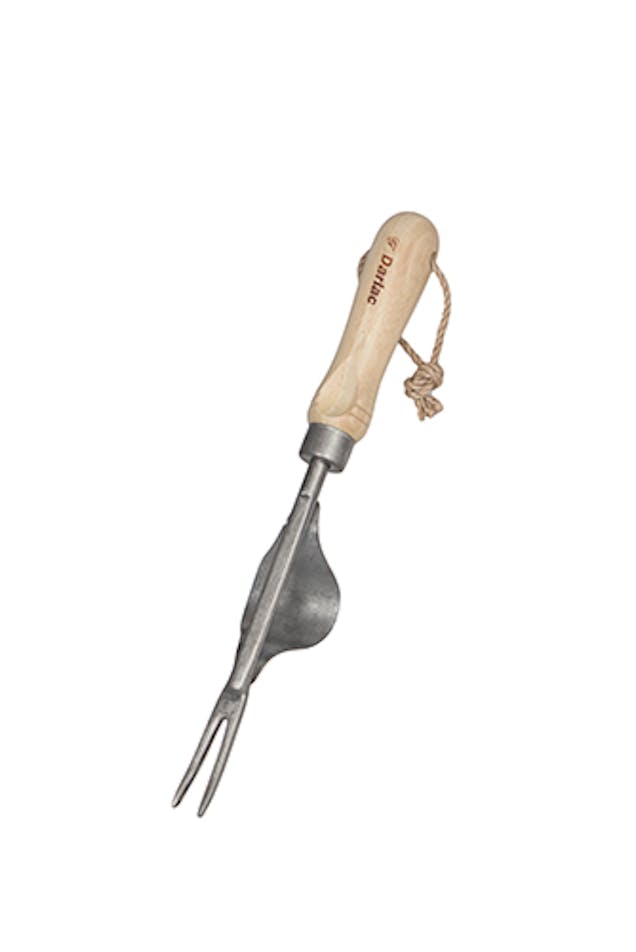 Darlac Daisy Grubber