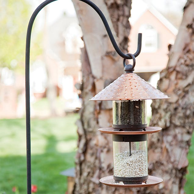 Shepherds Hook Hanging Basket Stand