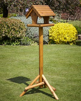 Warbler Bird Table